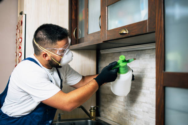 Best Bed Bug Extermination  in Union City, GA